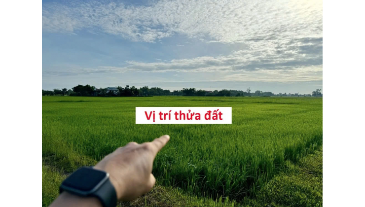 BÁN ĐẤT CHÍNH CHỦ KHÔNG QUA MÔI GIỚI, CẦN RA GẤP GIÁ TỐT